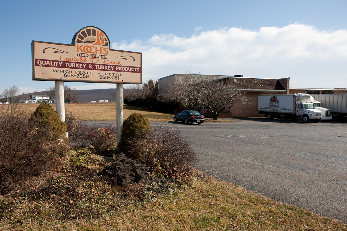 ArgallSelects Image46 / 51